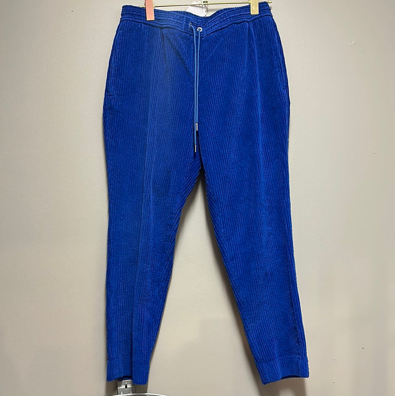 Moncler Blue Pants