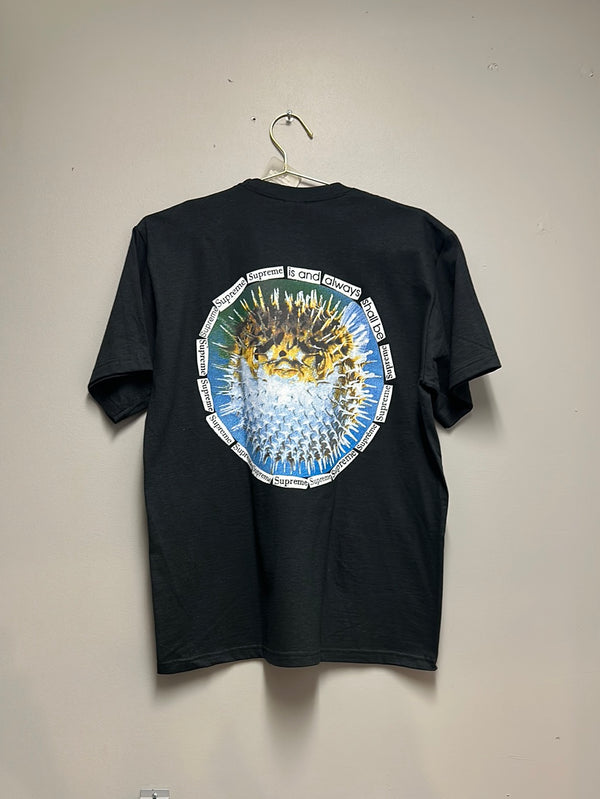 Supreme Blowfish Tee