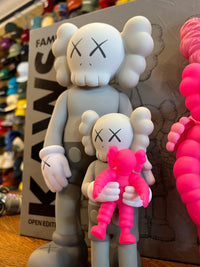 Kaws Family Vinyl Figure Grey/Pink